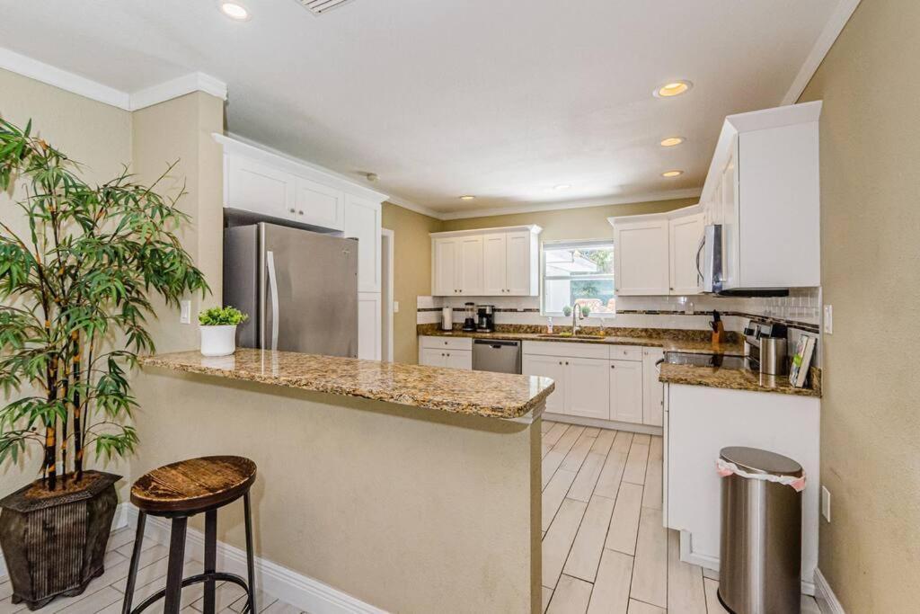 Beautiful Pool House In Old Seminole Heights! Βίλα Τάμπα Εξωτερικό φωτογραφία
